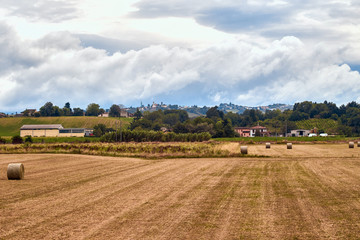 rural landscape with field and blue sky