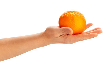 orange fruit in hand