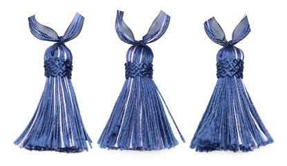 Set of silk tassel isolated on white background for creating graphic concepts