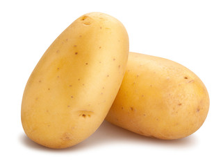 Fototapeta white potatoes obraz