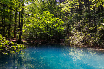 Ochiul Beiului,emerald lake on the Cheile Nerei-Beusnita National Park,Caras-Severin,Romania