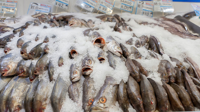 Pescados en g&oacute;ndola de supermercado con hielo