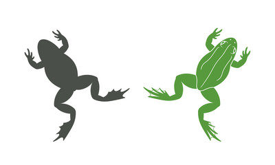 Frog jumping. Isolated frog on white background. Silhouette