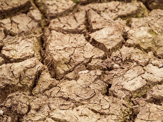 Cracked brown soil after a drought, concept: ecology, global warming, disaster,