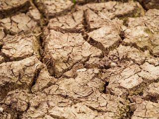 Cracked brown soil after a drought, concept: ecology, global warming, disaster,