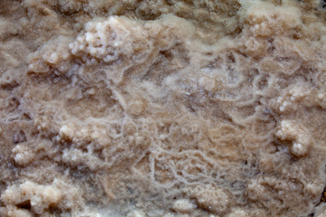 Bottom of dead sea with strange pictures of salt crystalls