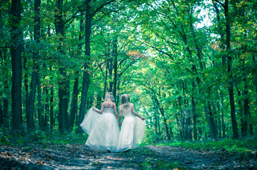 romantic forest fairies