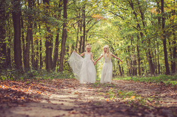 romantic forest fairies