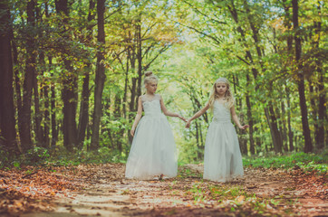 mysterious fairies in forest