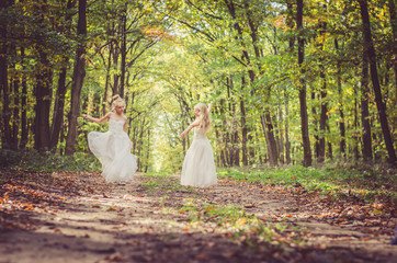 mysterious fairies in forest dancing