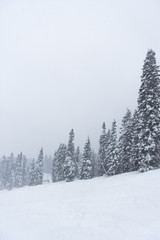 Snowboarding during a snow storm at Tamarack Mountain Resort