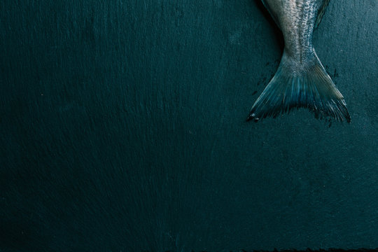 Isolated photo of raw fish tail on black slate surface