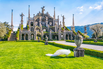 Beautiful Isola Bella island with flower garden, white peacocks and baroque statues, Lake Maggiore, Stresa, Italy. - obrazy, fototapety, plakaty