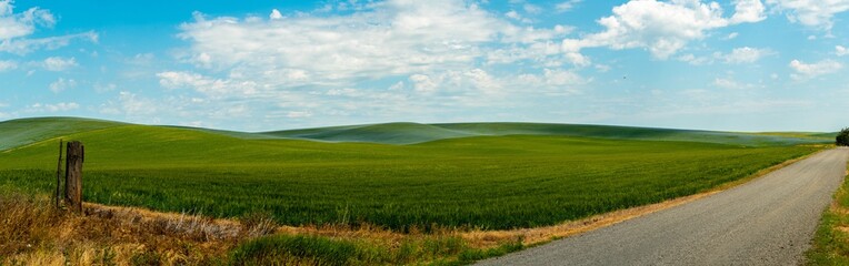 Naklejka premium Palouse Summer