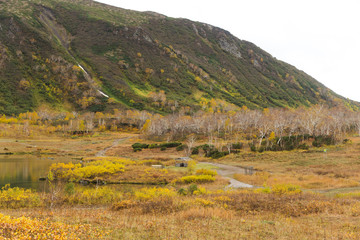 Naklejka premium Beautiful colorful autumn landscape in Vachkazhetz volcano, Kamchatka peninsula, Russia