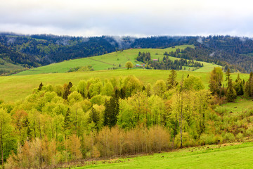 Obraz premium View from a height on the village and the spring Carpathians overgrown with young deciduous trees.