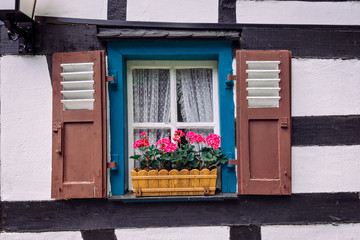 Vintage blue window on the white wall with basket of pink flowers.