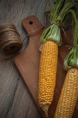 Roasted corn tied with twine and served on a plate. Rustic style.