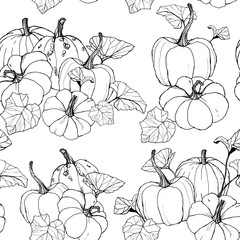 Line art seamless pattern with pumpkins for harvest festival. Hand painted traditional pumpkins with branches isolated on white background. Botanical illustration for design, print or background.