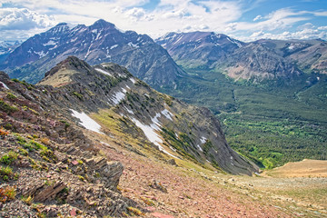 Along the Scenic Point Trail