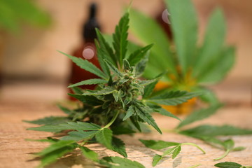 Medical marijuana cannabis cbd oil
