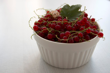 Red currants in a white cup, on a white background