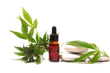 Medical marijuana cannabis cbd oil