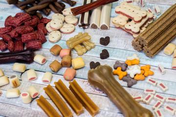 Pet food, snacks for dogs