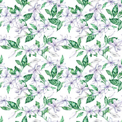 Watercolor seamless pattern with white coffee flowers and green leaves.