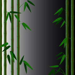 background with a pattern of stems of bamboo