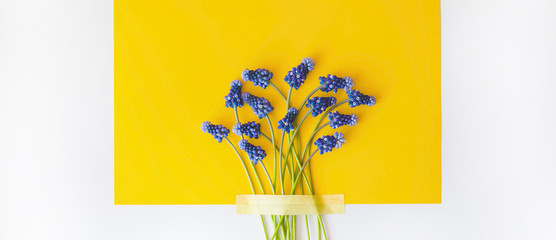 Bright juicy flat lay with blue flowers.