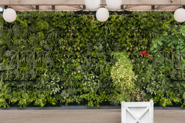 Beautiful nature background of vertical garden with tropical green planting leafs and white round...