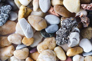 Closeup of many different sea stones.