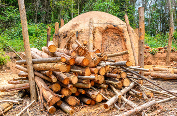 Charcoal kilns at the farm with a pile of eucalyptus wood on the side.