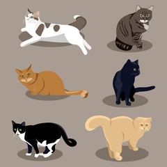 Different breeds of cats in different poses. Flat illustrations on brown background.