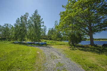 Beautiful view of parking place for small boats in the forest near lake coast line. Inverted boats under tall green trees on blue sky background.