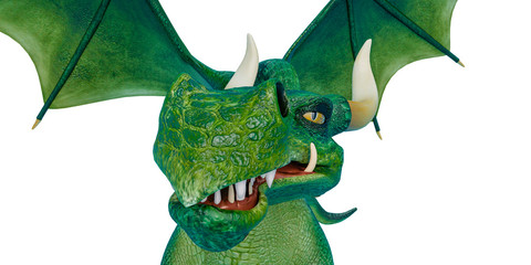 Obraz premium dragon cartoon front view