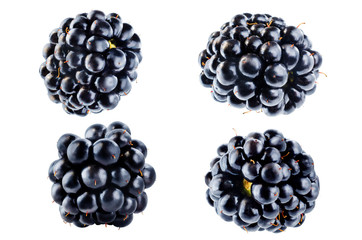 Blackberry on a white isolated background