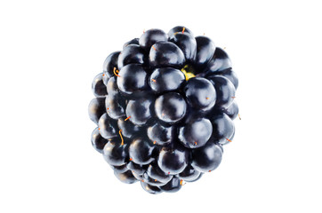 Blackberry on a white isolated background