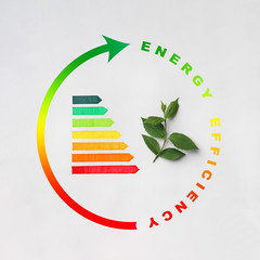 Energy efficiency rating and green leaves on light background, top view