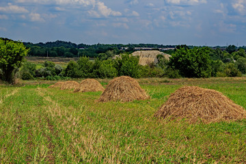 Field haystack sunny day. Pet food