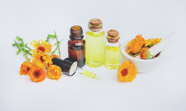 The calendula extract. Medicinal plants. Selective focus.