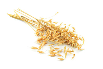 Bunch of ripe oat ears, isolated on white