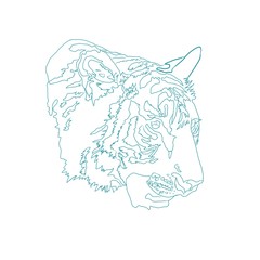 Outline of tiger head illustration isolated on white background