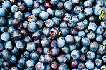 Berries fresh ripe blueberries close-up. Blueberries background