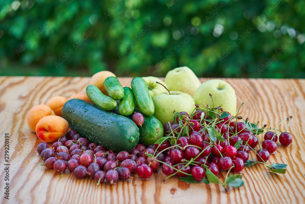 Wall mural seasonal fruits and vegetables freshly harvested in home garden on te wooden outdoor table with gree