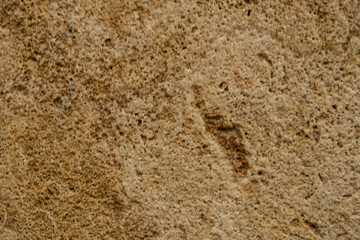 Background of old stone. Limestone is a sedimentary, detrital rock of organic, less often chemogenic origin, consisting of calcium carbonate (CaCO3) in the form of calcite crystals.