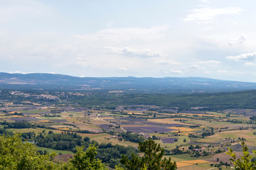 Fototapeta premium Background with aerial view on lavender fields at Provence, South of France