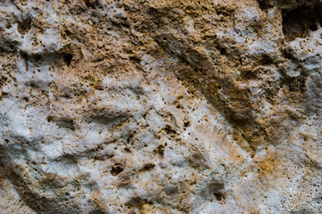 Background of old stone. Limestone is a sedimentary, detrital rock of organic, less often chemogenic origin, consisting of calcium carbonate (CaCO3) in the form of calcite crystals.