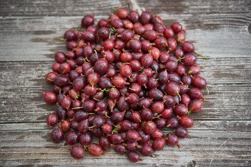 Pile of freshly riped red gooseberries on old wooden table in background, healthy summer organic fruits of beeries, full of vitamins and antioxidants ideal as light vegan snack or to make homemade jam